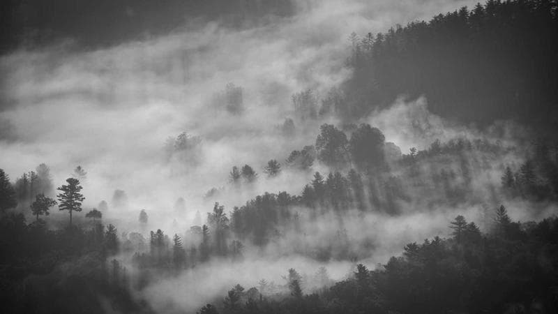 Apple Vision Pro 2 Review: Spatial Computing Gets Real