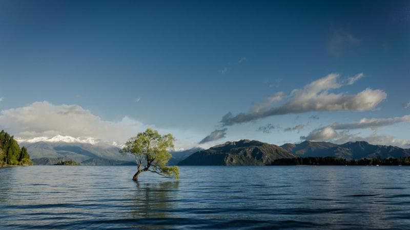 Senate Passes Infrastructure Bill